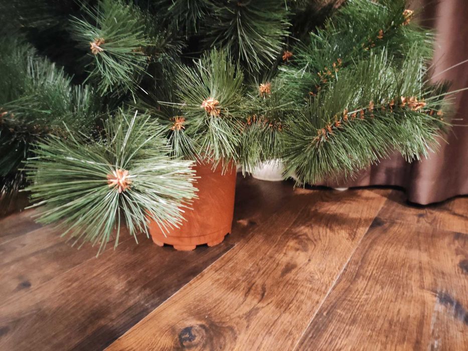 Новогодняя елка сосна 1,5м. Новорічна ялинка