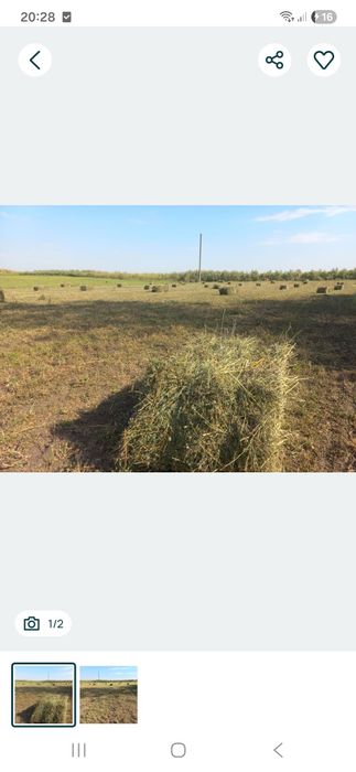 Тюки.   люцерна.