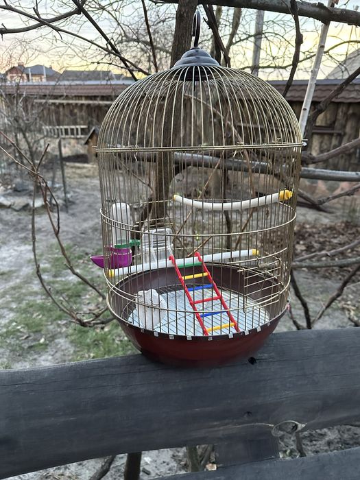 Клітка для пташок.