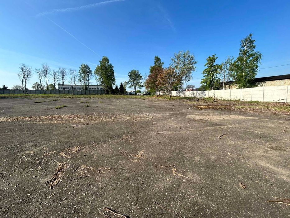 Teren do wynajęcia BYTOM, 5000 m²