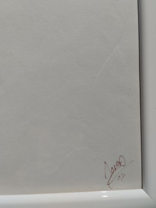 dois quadros "papagaios" pintados a mão, assinados