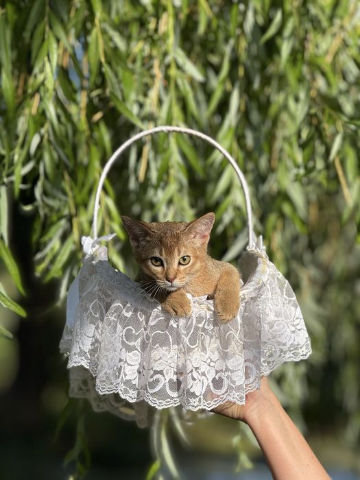 Малюк чекає на люблячу матусю