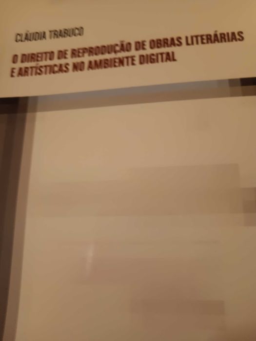 O direito de reprodução de obras literárias no ambiente digital
