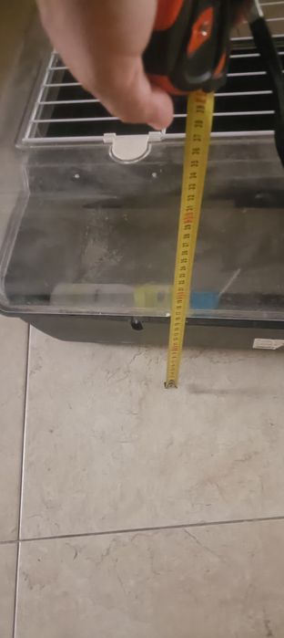 Gaiola para porquinho da Índia