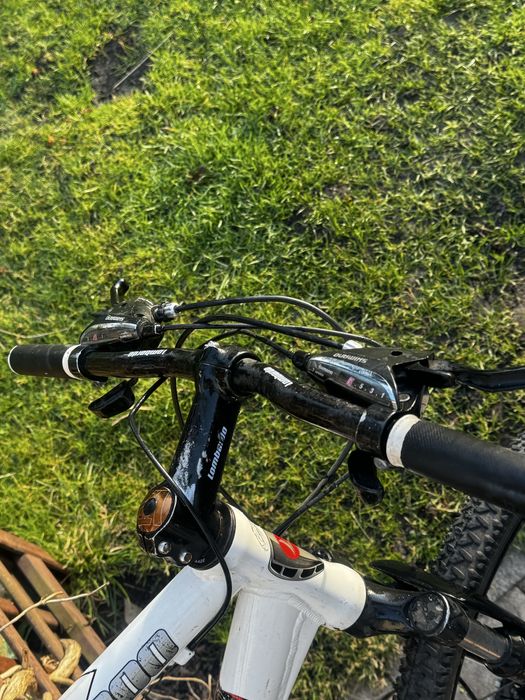 Rower lombardo. Dobry