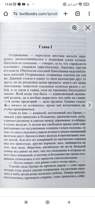 Жизнь за гранью, или Обретенное счастье. Повести. Людмила Шторк