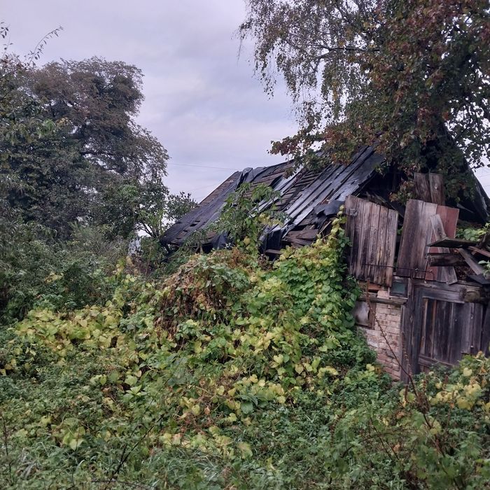 Косіння трави,швидко і якісно!Зачистка територій!