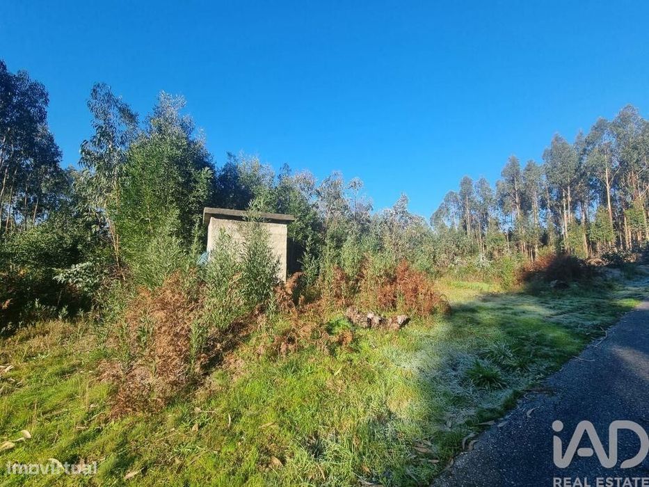 Terreno Agrícola em Mortágua, Vale de Remígio, Cortegaça e Almaça