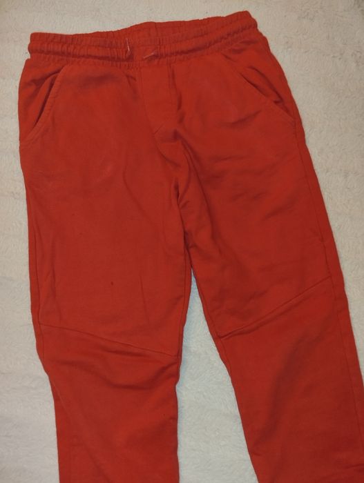 Oddam za darmo - aktualne