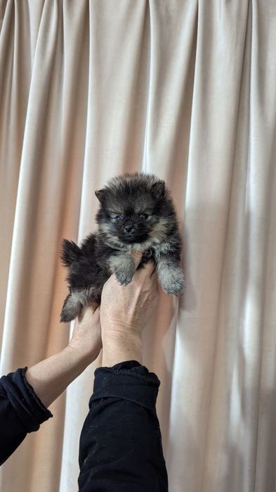 Дівчинка та хлопчик  цікавого кольору