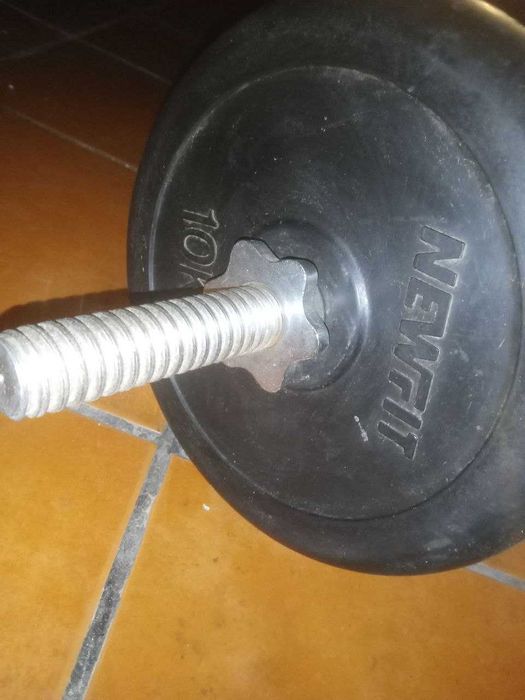 Halteres / pesos de musculação