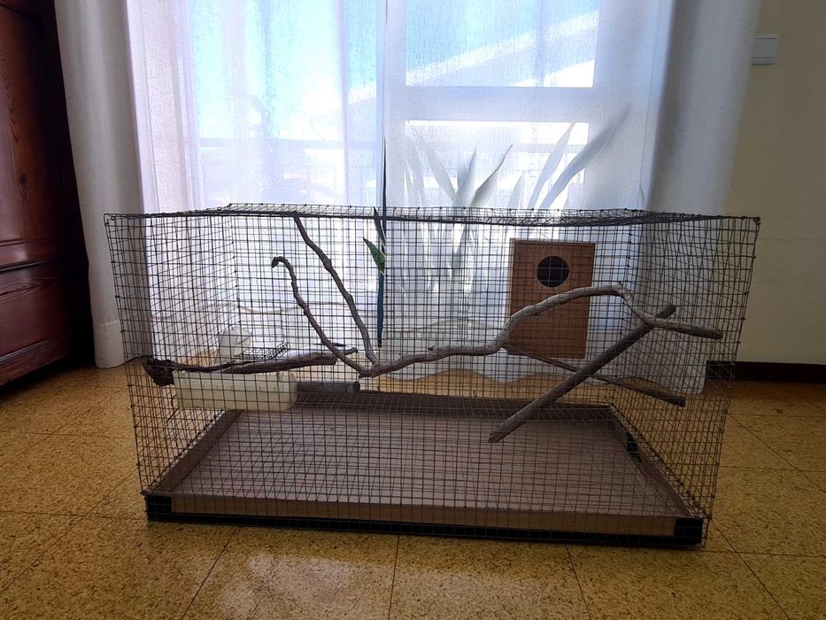 Gaiola Média/Grande para Aves + Acessórios e Ninho Incluídos