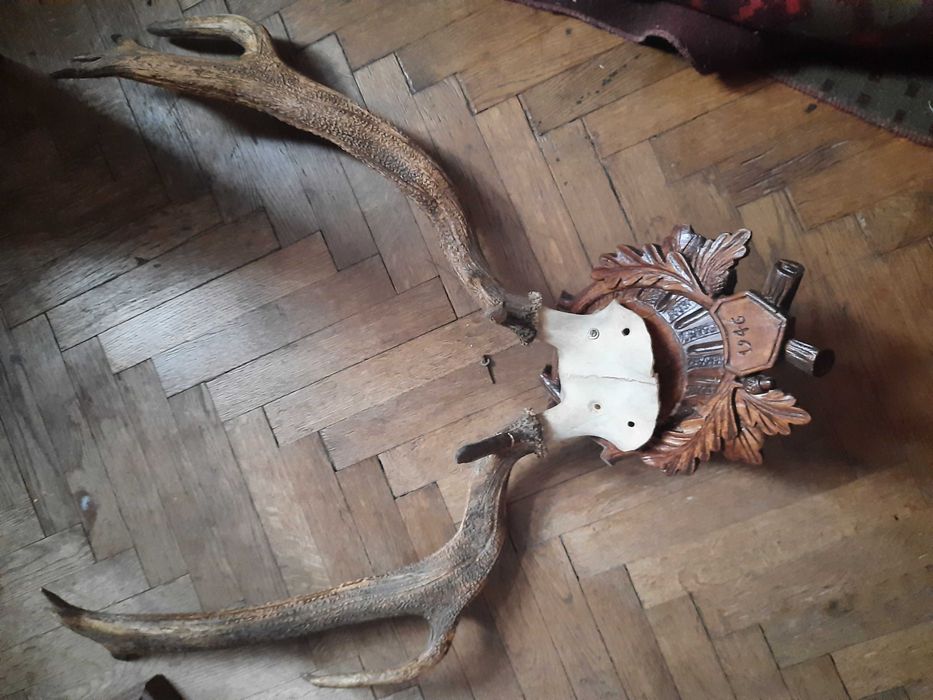 Трофейна колекція