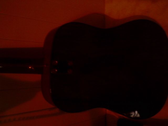 viola acústica de 12 cordas