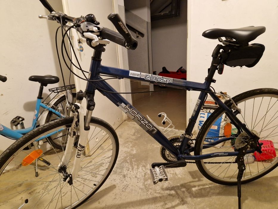 Rower Horizon size 19