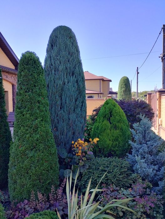 Обрізка саду. Ландшафтний дизайн. Стрижка. Обробка.Скарифікація газону