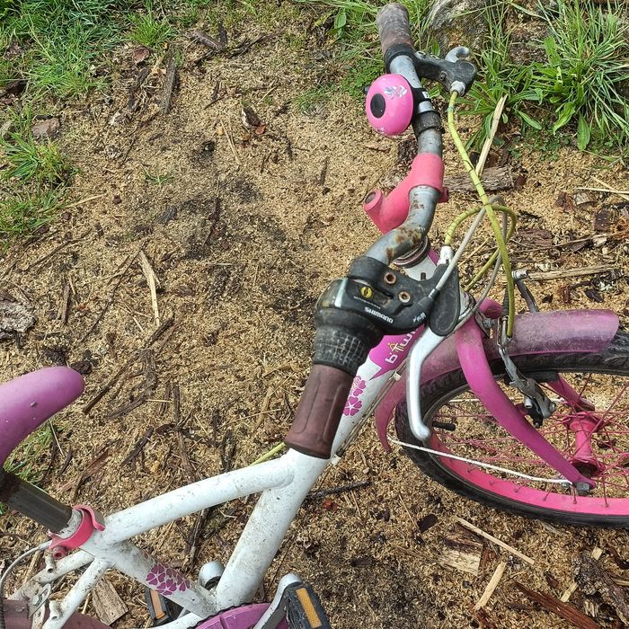 Vendo bicicleta de menina roda  20 em bom estado só precisa de ser limpa pois estava arrumada  não faço entregas sou de macieira de cambra