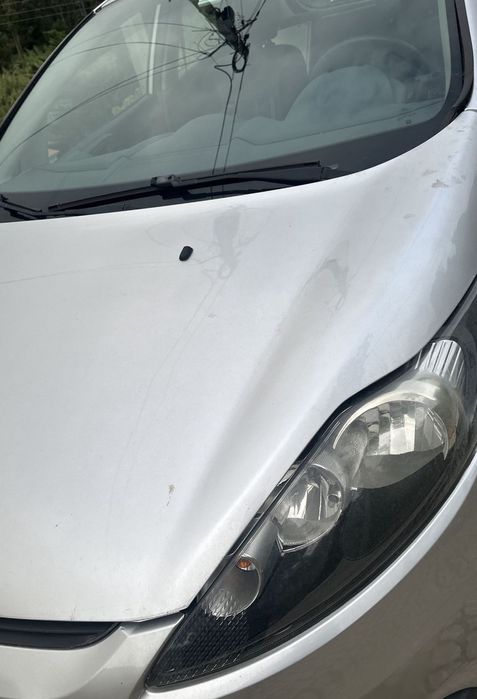 Ford fiesta pintura ok