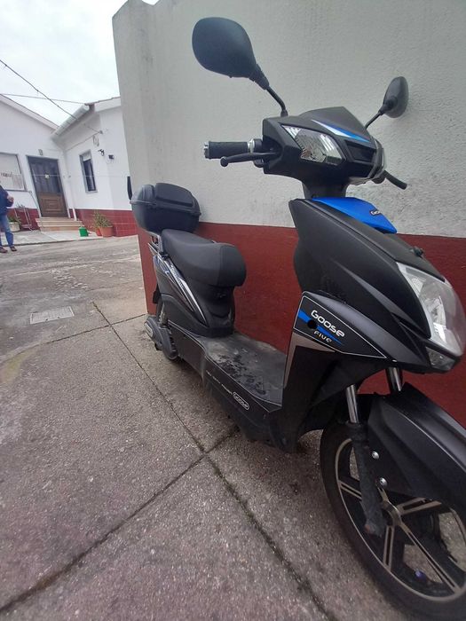 Vortex goose five nova