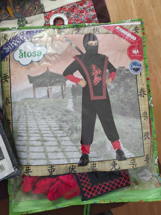 Fatos de Carnaval para criança