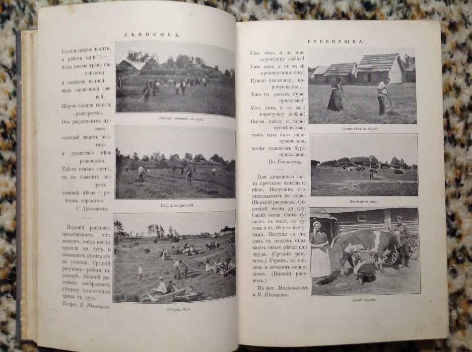 Детская энциклопедия. Том 6. 1914