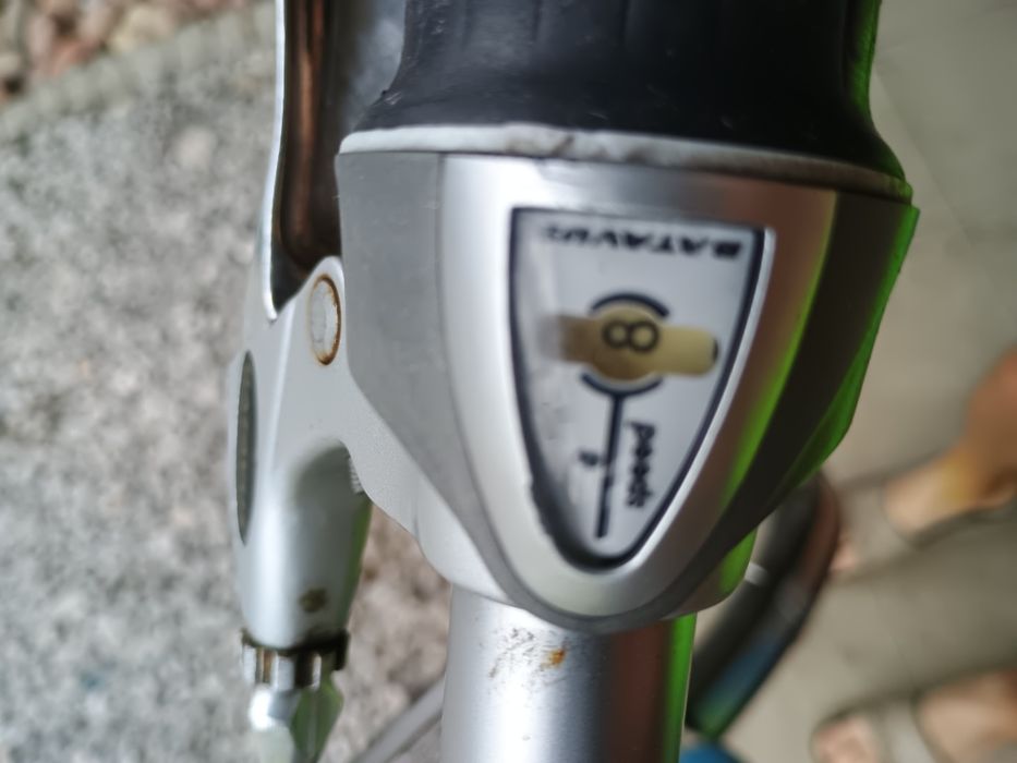 Rower damka Batavus