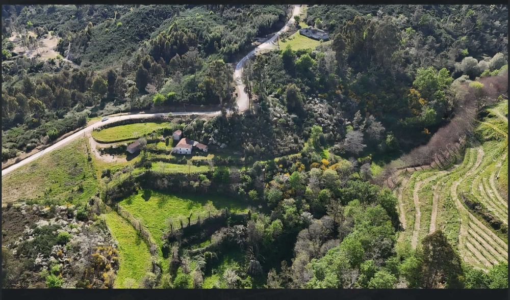 Quinta a venda Vila Caiz Amarante