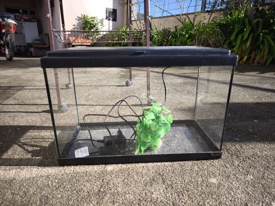 Aquário para peixes
