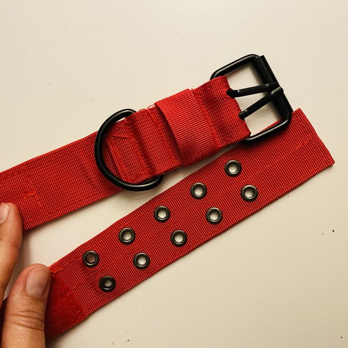 Coleira Vermelha Cão Médio/Grande | Ajustável | Nova