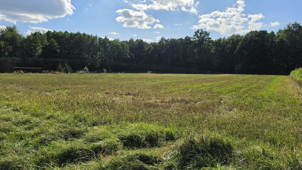 Wyjątkowa działka 38 arów – 10 arów budowlane, las, rzeczka, media - Więcej