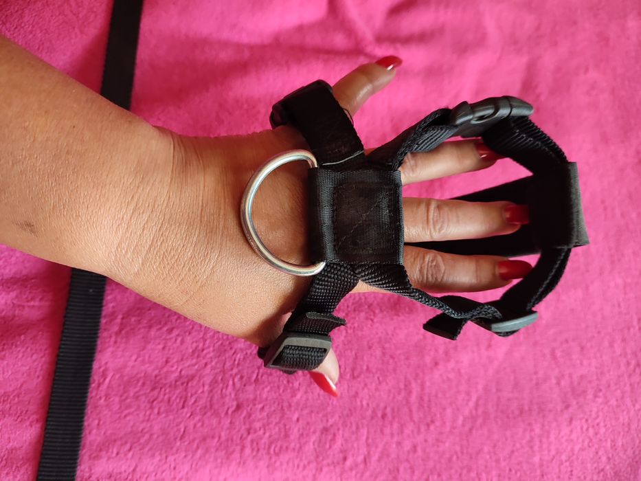 samochodowe uprząż pas bezpieczeństwa do auta dla psa s