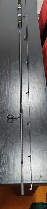 Cana Daiwa legalis seabass 2.59mt 5-21gr