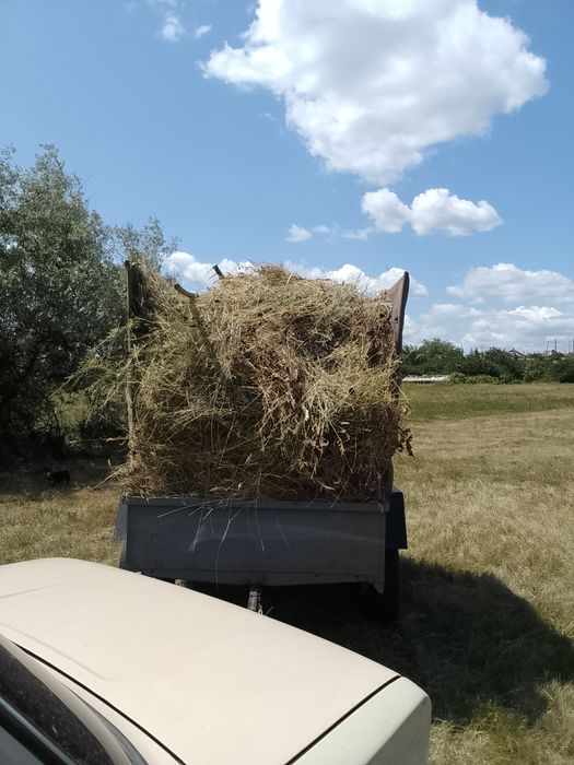 Продам сено люцерка