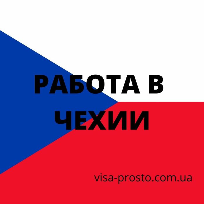 Рабочая виза и страховка в Польшу. Шенген Эстония, Венгрия иностранцам