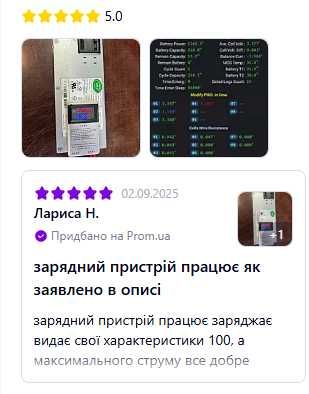Зарядний пристрій 12в 100А зарядка li-ion, liFePo4 Блок питания 1200W