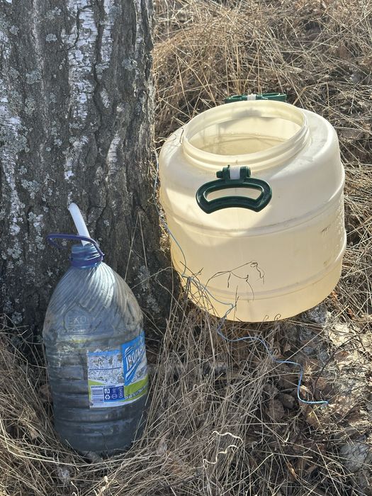 Свіжий березовий сік!