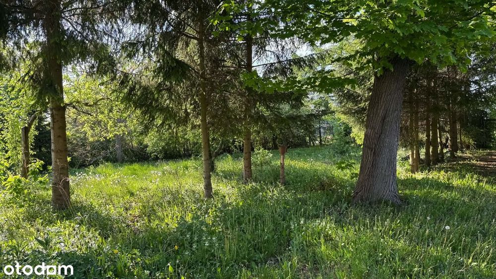 Sprzedam działkę na ul. Chrobrego w Elblągu - Widok 5
