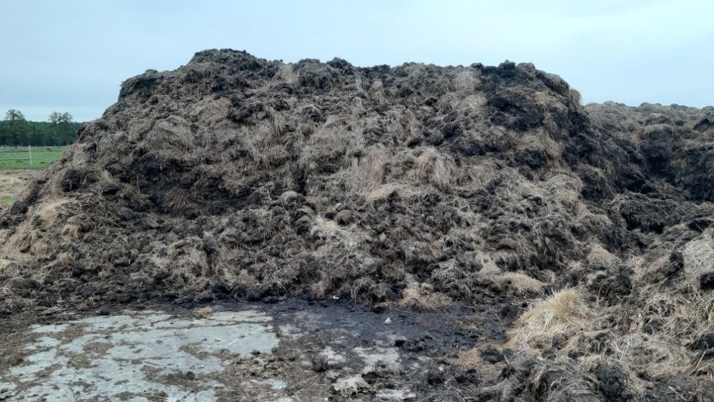 Obornik bydlęcy ok 500 TON Załadunek