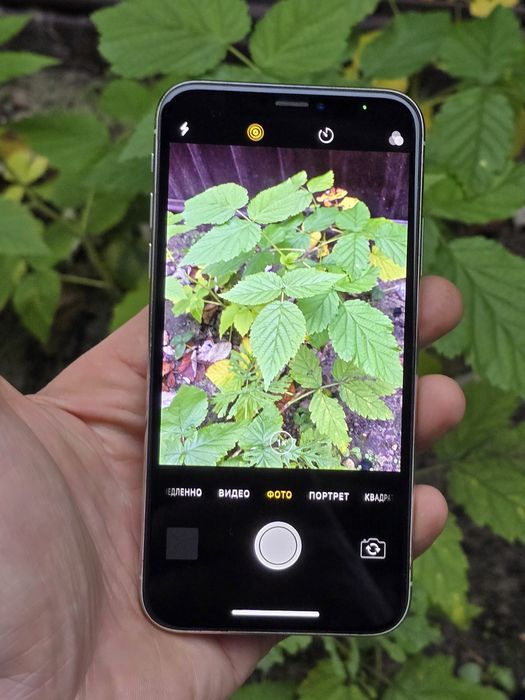 IPhone X Neverlock 100% Батарея