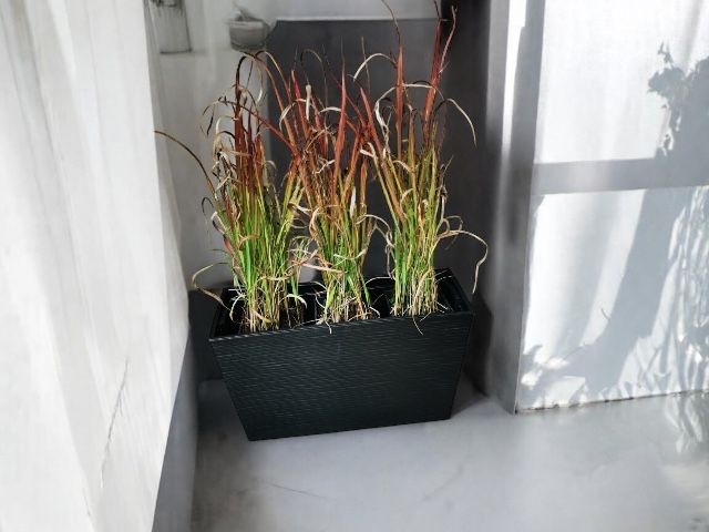 Doniczka donica + wkład kwietnik wysoki solidny czarna donica