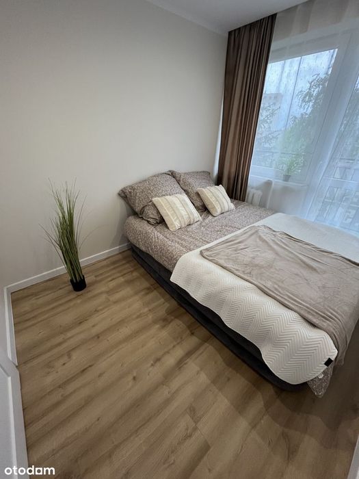 2 pokoje po remoncie WINDA / BALKON / OSOBNA KUCHNIA - Widok 6