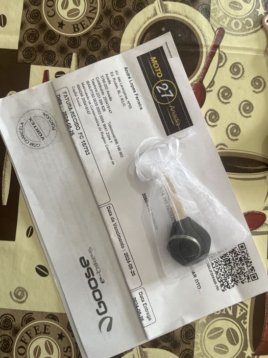 Scooter eletrica goose