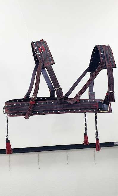 Шлея європейського зразку шкіряна,оздоблена. Великий вибір упряжі