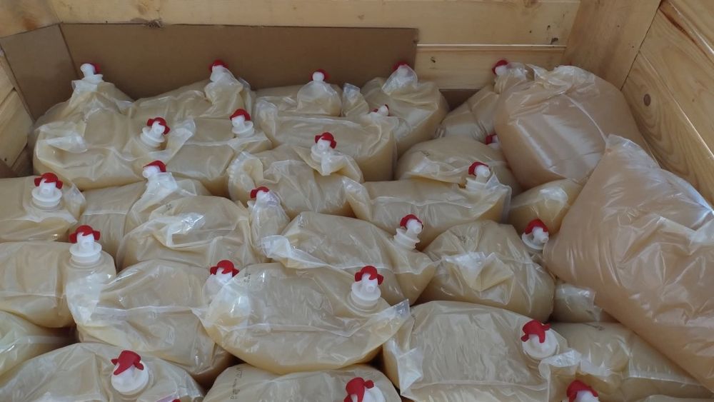 Sprzedaż jabłek z własnego gospodarstwa