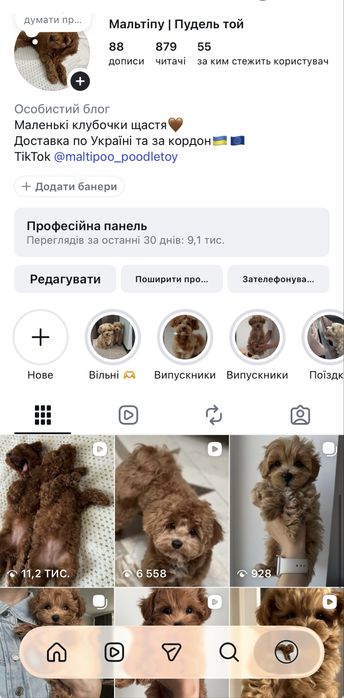 Хлопченята маленького розміру до 3 кг.