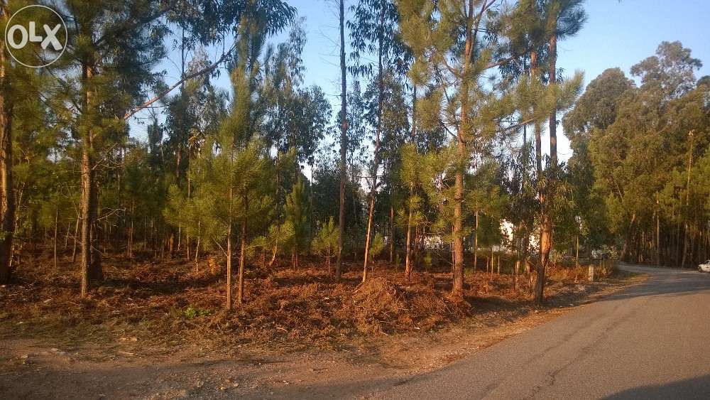 Terreno urbano de construção