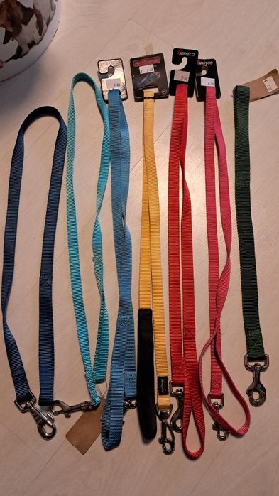 Acessórios e brinquedos para cão NOVOS