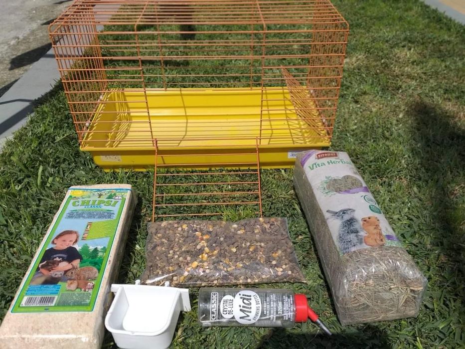 Kit porquinho da Índia /Coelho Novo