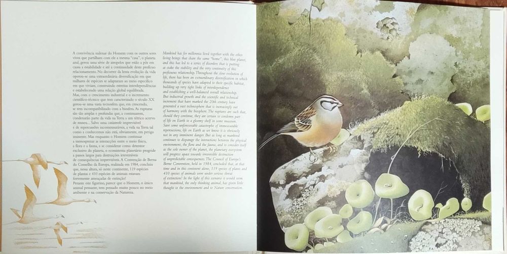 Livro "Conservação da Natureza" Edição CTT (inclui todos os selos)