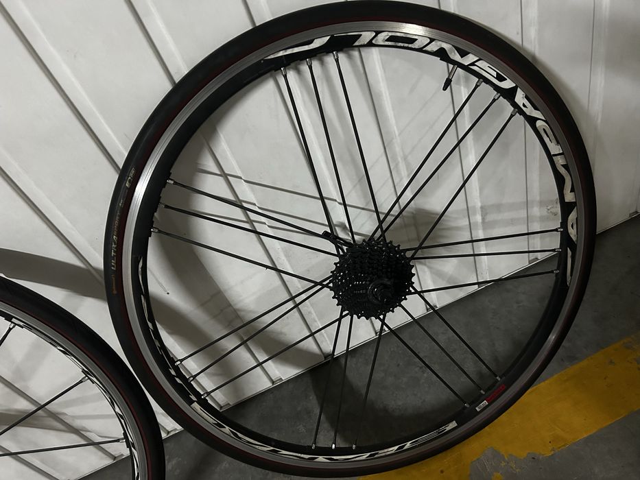 Rodas Campagnolo shamal ultra